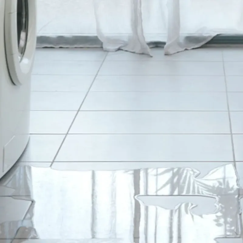 Appliance Leak Cleanup in Saluda County, SC