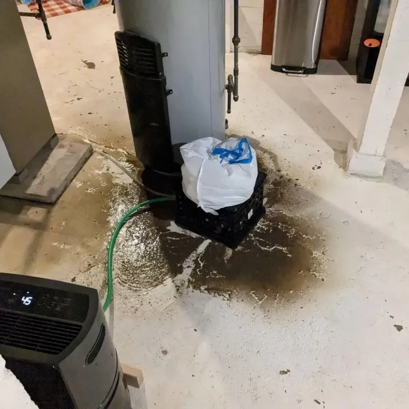 Sewage Backup Cleanup Service in Saluda County, SC